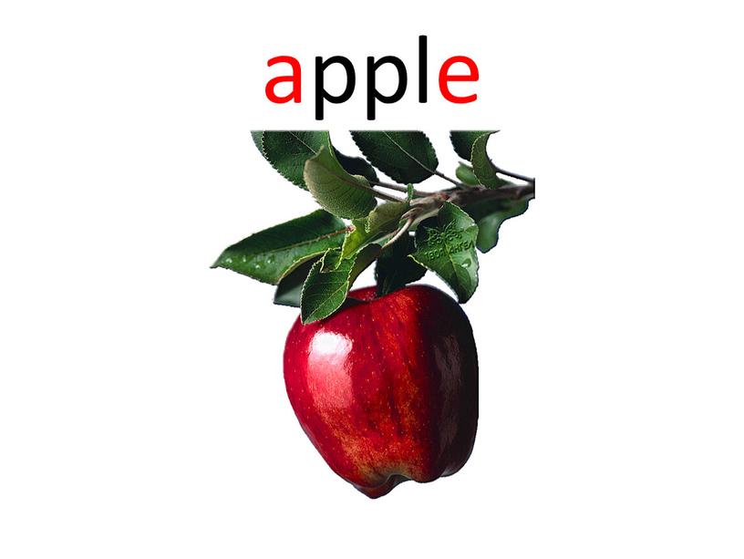 apple