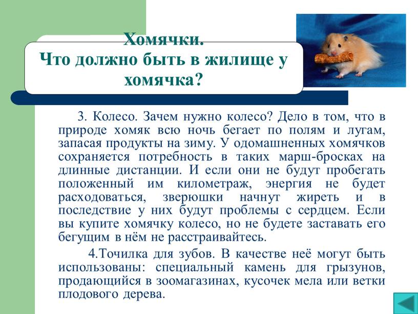 Колесо. Зачем нужно колесо? Дело в том, что в природе хомяк всю ночь бегает по полям и лугам, запасая продукты на зиму