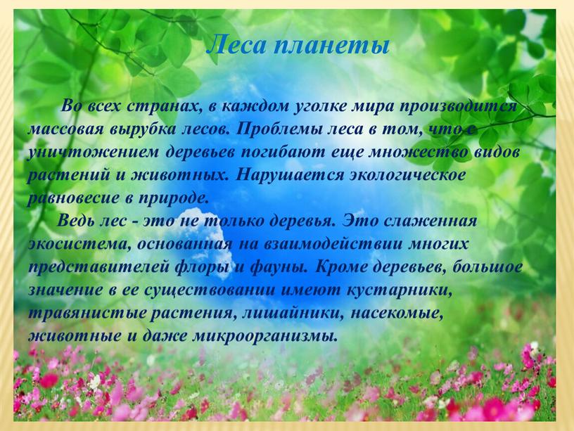 Леса планеты Во всех странах, в каждом уголке мира производится массовая вырубка лесов