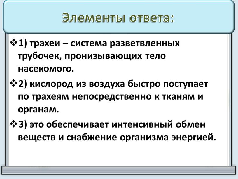 Элементы ответа: 1) трахеи – система разветвленных трубочек, пронизывающих тело насекомого