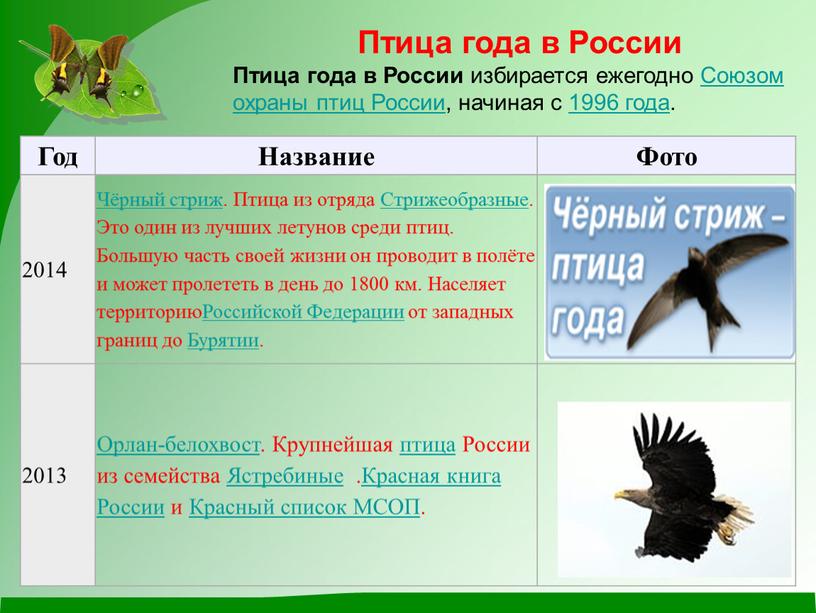 Птица года в России Птица года в