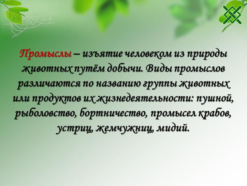 Промыслы – изъятие человеком из природы животных путём добычи