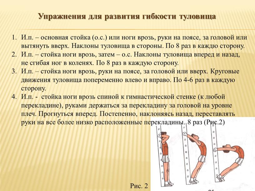 Упражнения для развития гибкости туловища