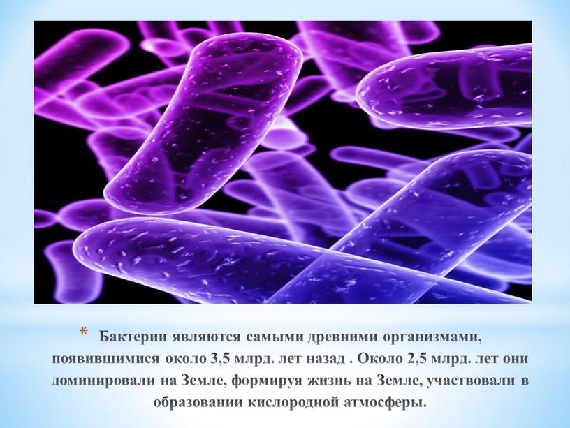 Бактерии являются самыми древними организмами, появившимися около 3,5 млрд