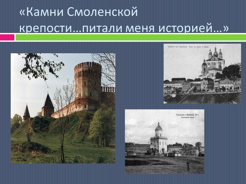 Камни Смоленской крепости…питали меня историей…»