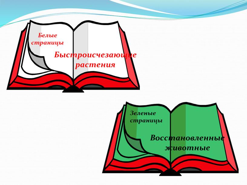 Белые страницы Быстроисчезающие растения