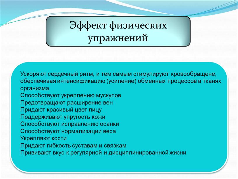 Эффект физических упражнений Ускоряют сердечный ритм, и тем самым стимулируют кровообращене, обеспечивая интенсификацию (усиление) обменных процессов в тканях организма