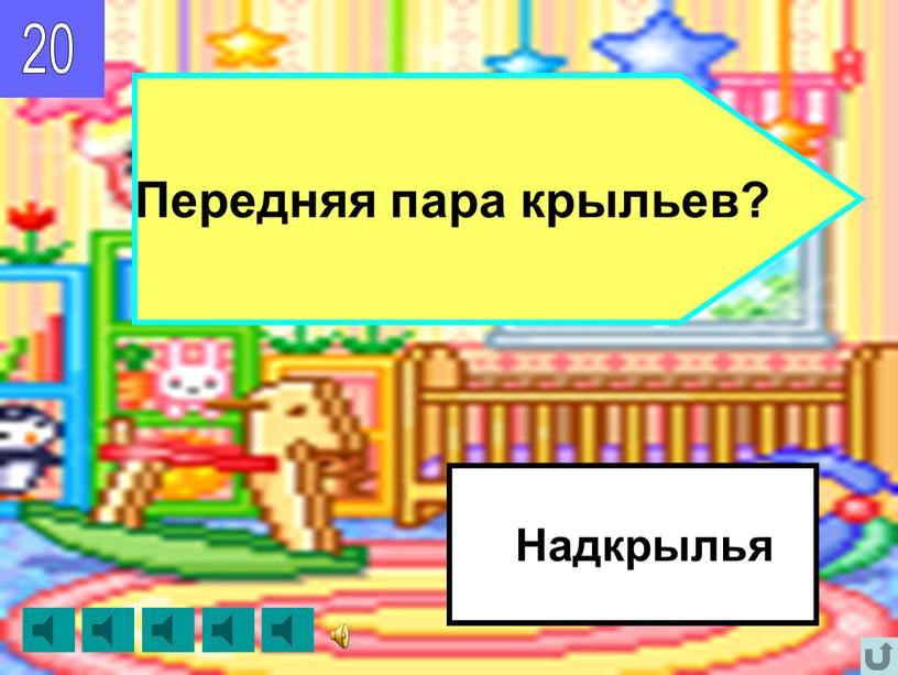 Надкрылья Передняя пара крыльев?