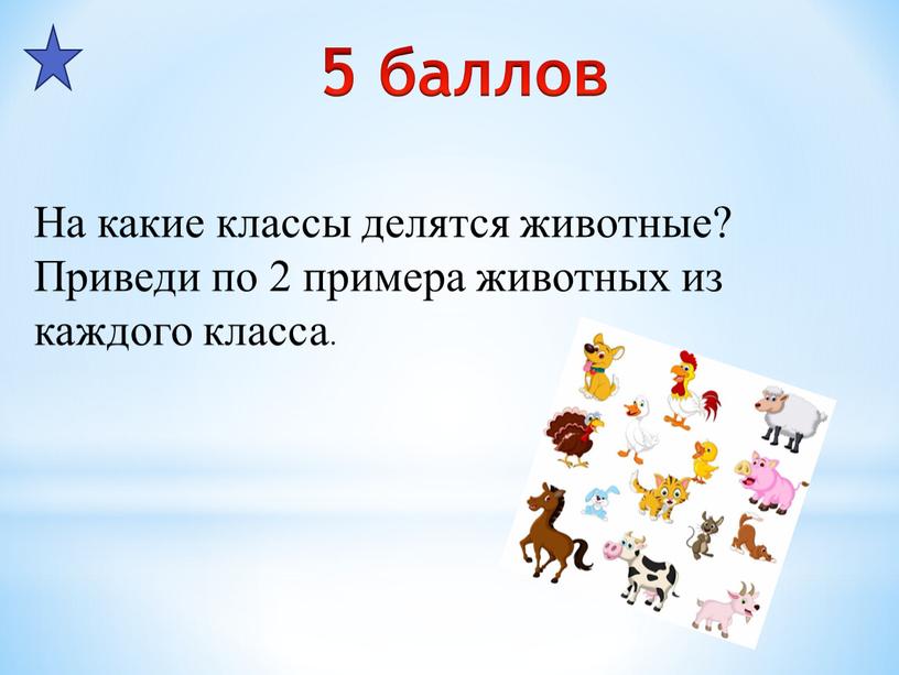 На какие классы делятся животные?