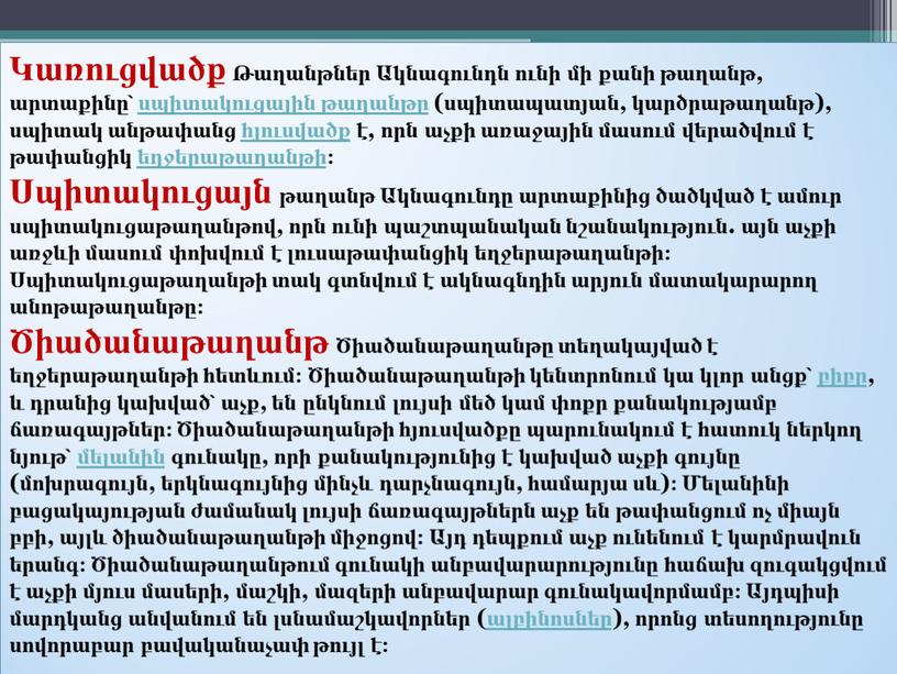 Կառուցվածք Թաղանթներ Ակնագունդն ունի մի քանի թաղանթ, արտաքինը՝ սպիտակուցային թաղանթը (սպիտապատյան, կարծրաթաղանթ), սպիտակ անթափանց հյուսվածք է, որն աչքի առաջային մասում վերածվում է թափանցիկ եղջերաթաղանթի։ Սպիտակուցայն…