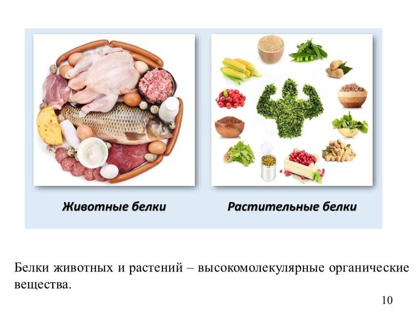 Белки животных и растений – высокомолекулярные органические вещества