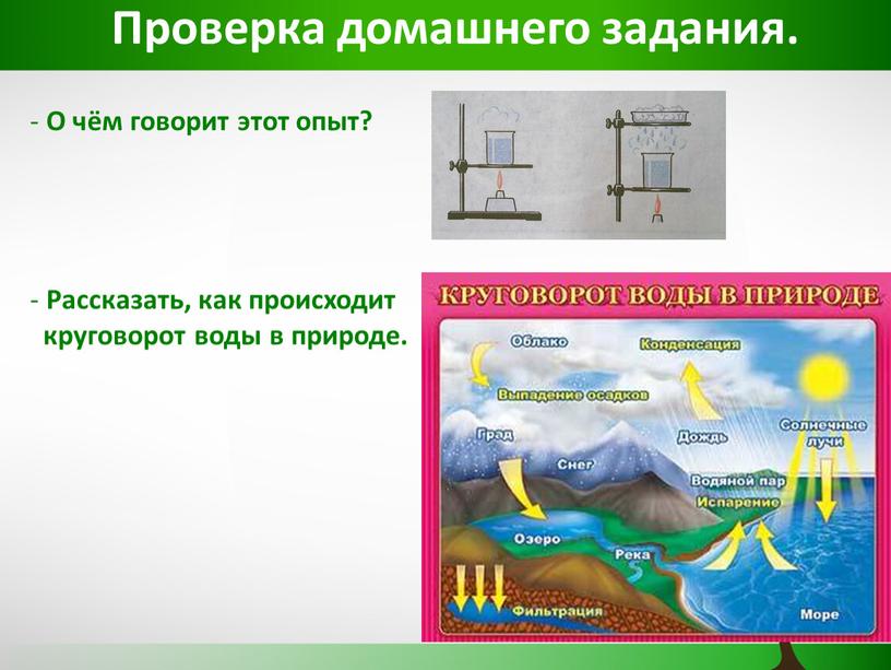 Проверка домашнего задания. О чём говорит этот опыт?