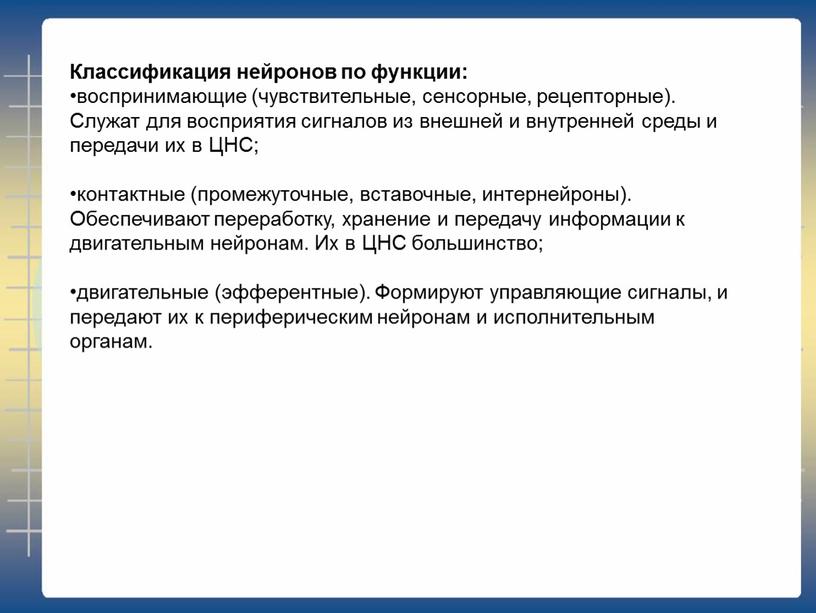 Классификация нейронов по функции: воспринимающие (чувствительные, сенсорные, рецепторные)