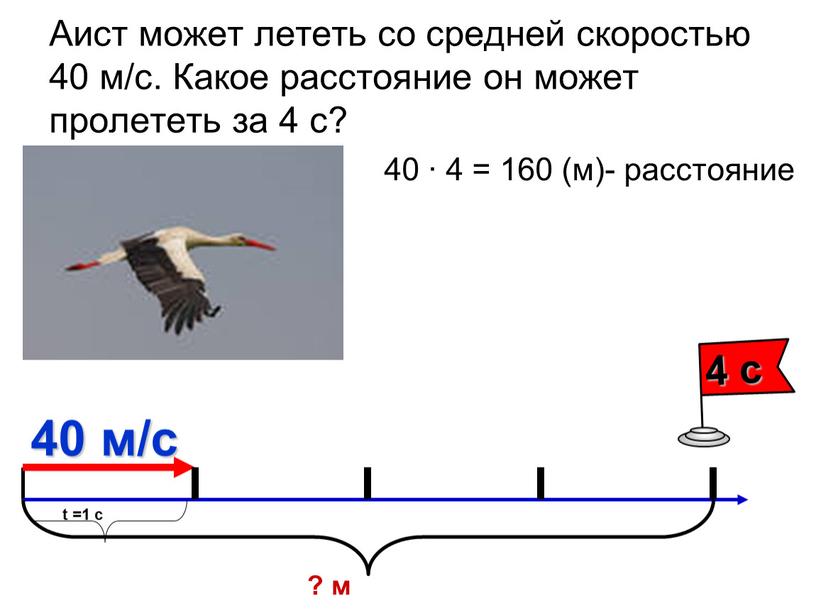 Аист может лететь со средней скоростью 40 м/с