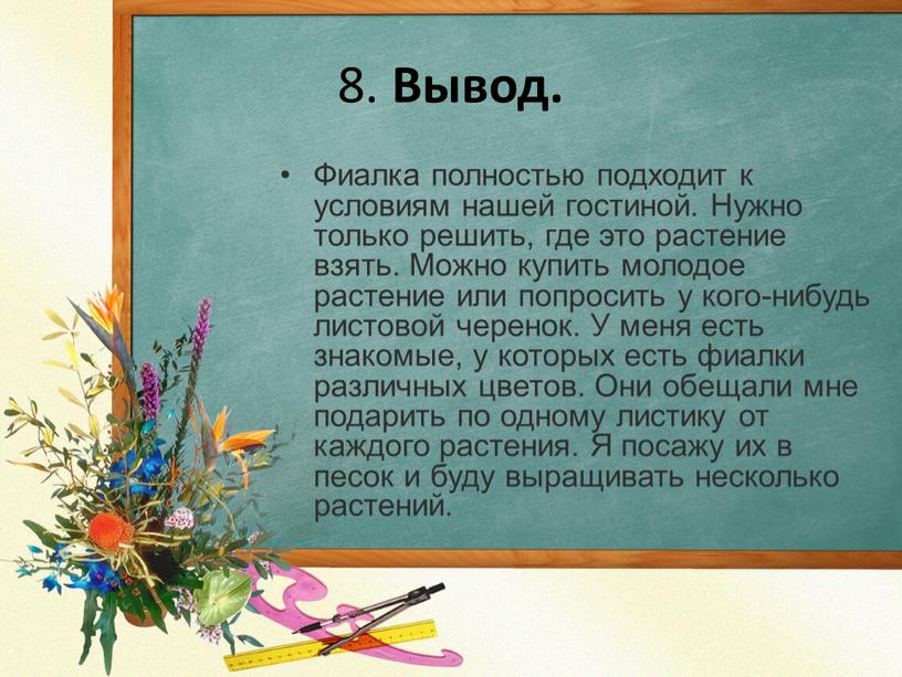 Вывод. Фиалка полностью подходит к условиям нашей гостиной