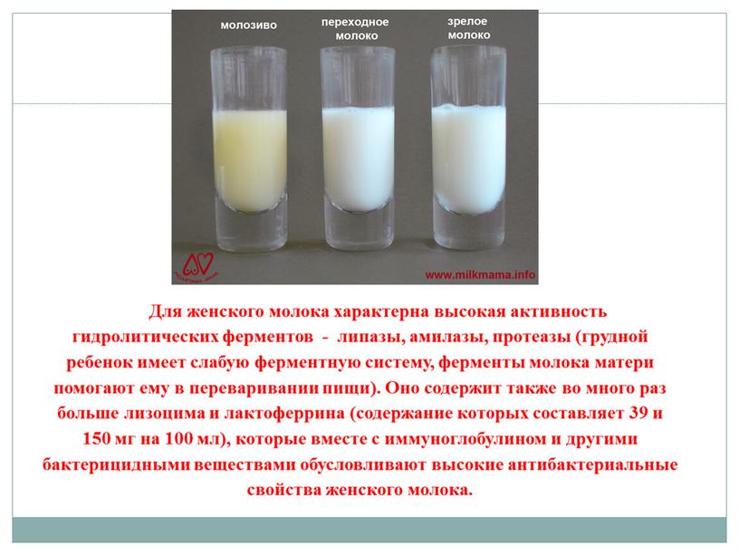 Для женского молока характерна высокая активность гидролитических ферментов - липазы, амилазы, протеазы (грудной ребенок имеет слабую ферментную систему, ферменты молока матери помогают ему в перева­ривании…