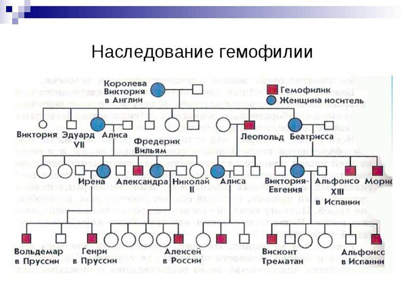 Гемофилия и ее влияние на организм