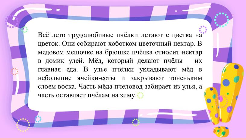 Всё лето трудолюбивые пчёлки летают с цветка на цветок