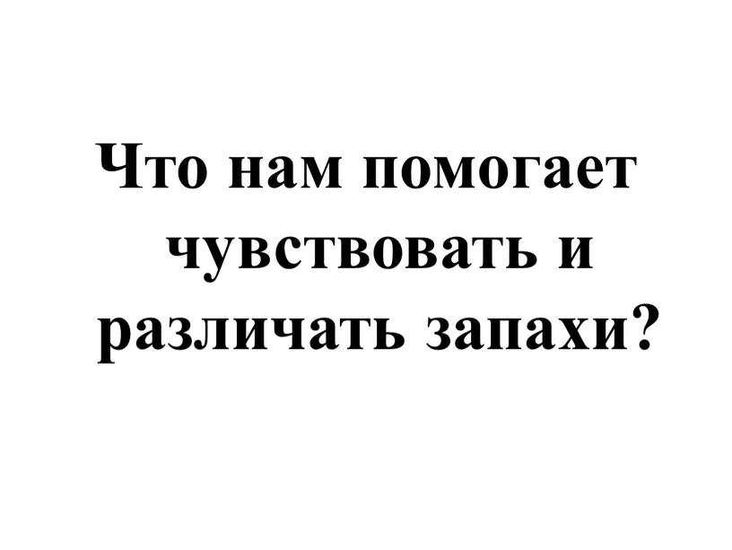 Что нам помогает чувствовать и различать запахи?