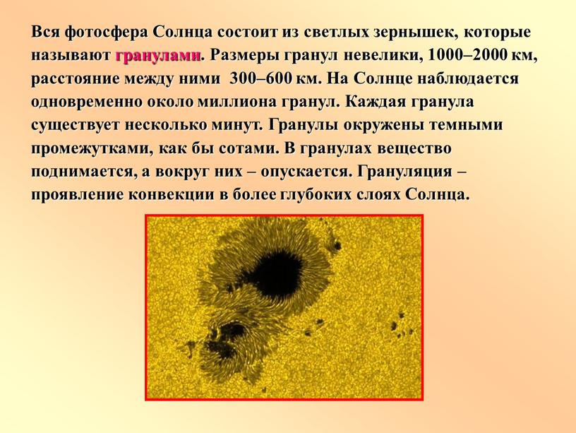 Вся фотосфера Солнца состоит из светлых зернышек, которые называют гранулами