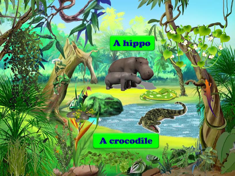 A crocodile A hippo