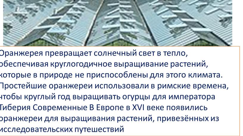 Оранжерея превращает солнечный свет в тепло, обеспечивая круглогодичное выращивание растений, которые в природе не приспособлены для этого климата