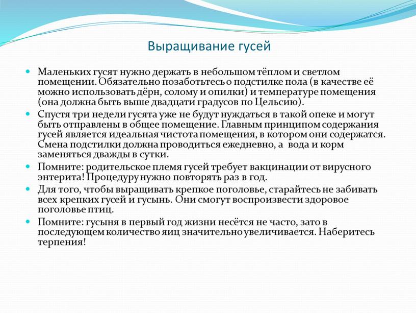 Выращивание гусей Маленьких гусят нужно держать в небольшом тёплом и светлом помещении