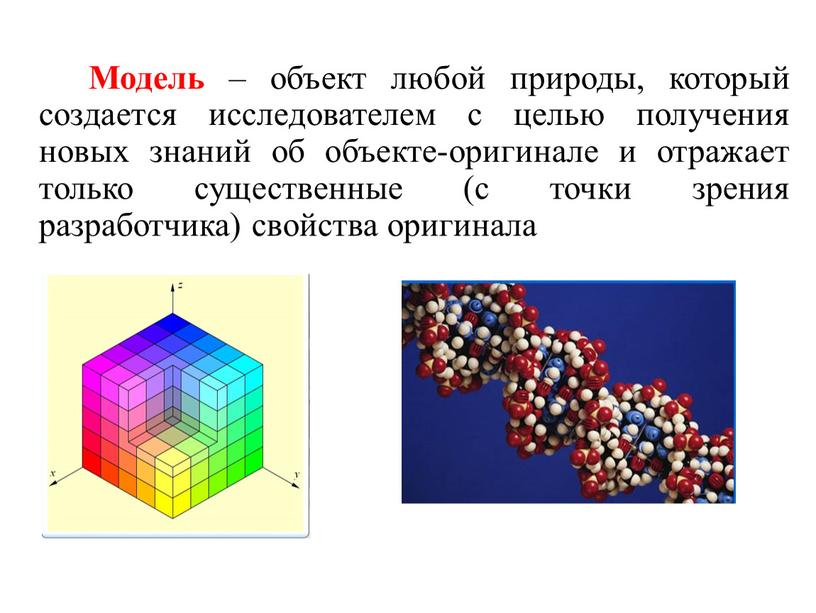 Что объединяет и в чем отличие биологических объектов изображенных на рисунке