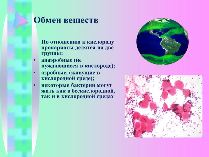 Обмен веществ По отношению к кислороду прокариоты делятся на две группы: анаэробные (не нуждающиеся в кислороде); аэробные, (живущие в кислородной среде); некоторые бактерии могут жить…