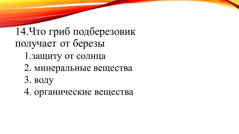 Что гриб подберезовик получает от березы 1