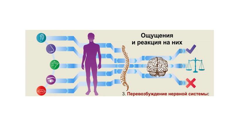 Влияние сенсорной интеграции на развитие ребенка раннего возраста