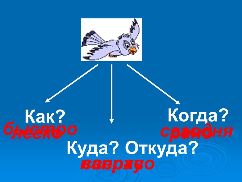 Как? Куда? Откуда? Когда? быстро легко направо сверху сегодня рано