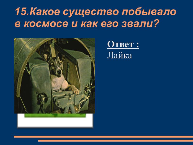 Какое существо побывало в космосе и как его звали?