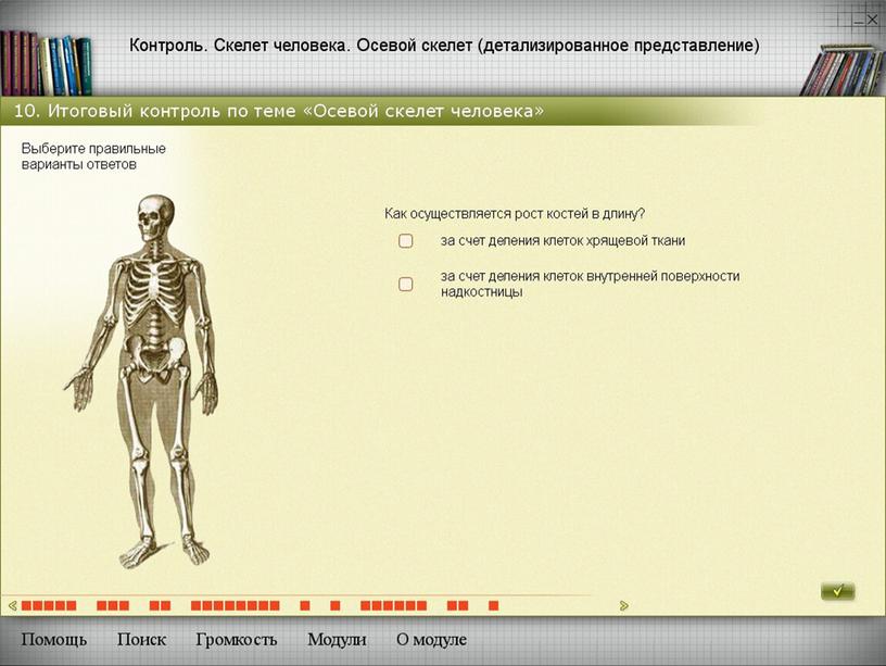 Методы развития познавательной деятельности учащихся