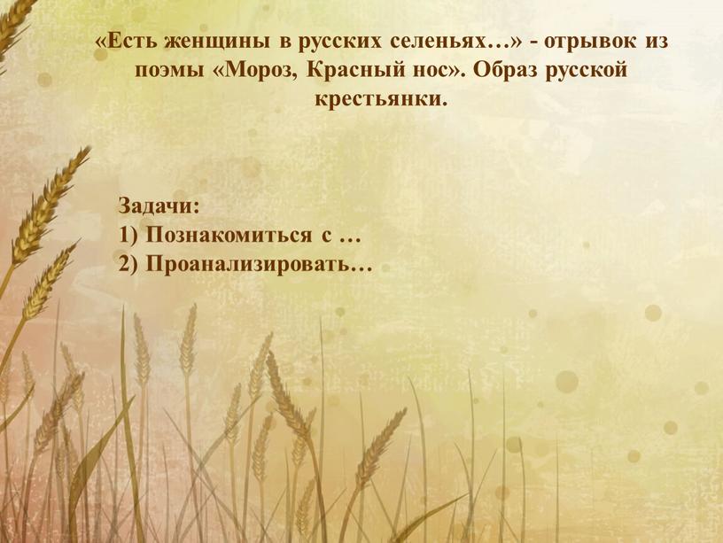 Есть женщины в русских селеньях…» - отрывок из поэмы «Мороз,