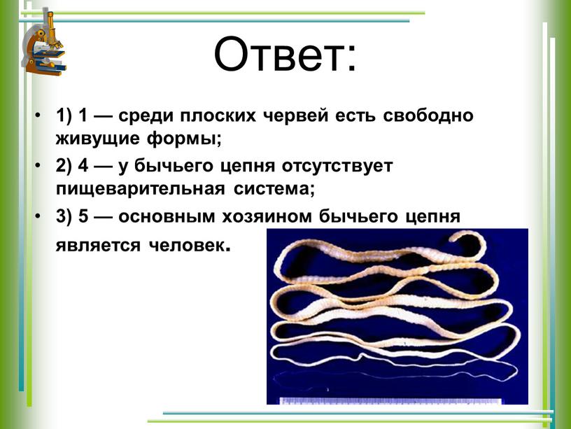 Ответ: 1) 1 — среди плоских червей есть свободно живущие формы; 2) 4 — у бычьего цепня отсутствует пищеварительная система; 3) 5 — основным хозяином…