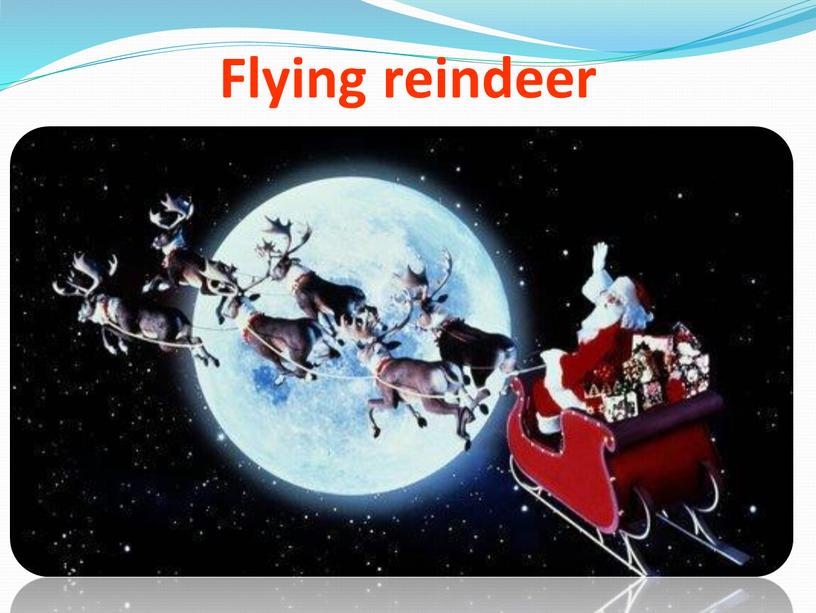 Flying reindeer