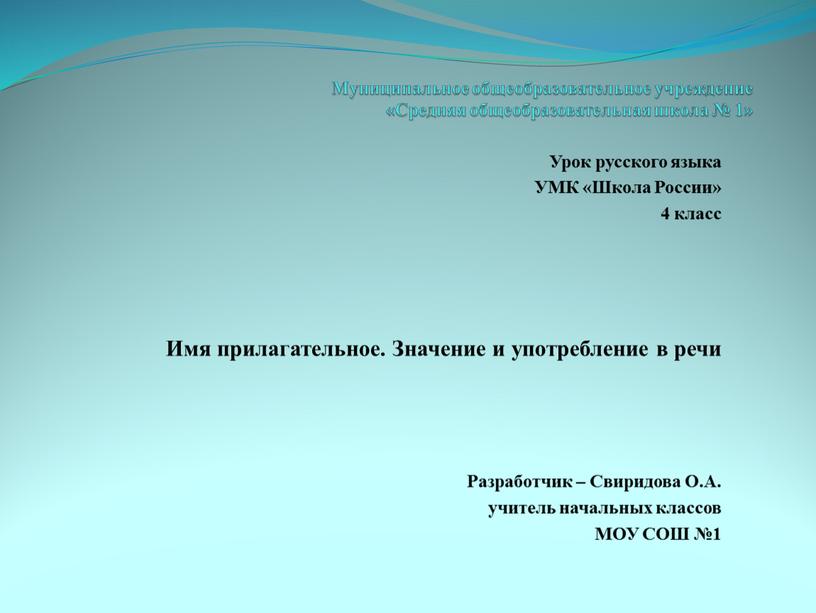 Муниципальное общеобразовательное учреждение «Средняя общеобразовательная школа № 1»