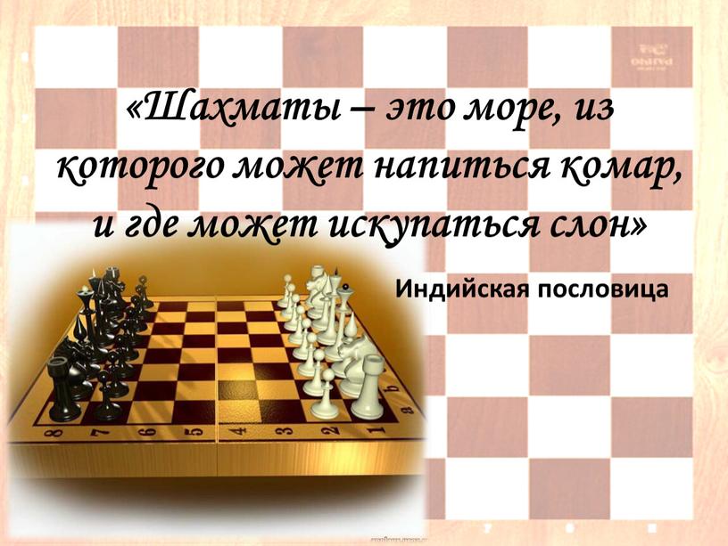Шахматы – это море, из которого может напиться комар, и где может искупаться слон»