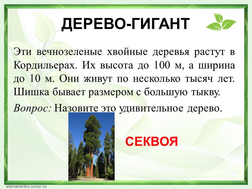 Какая нить в природе самая тонкая. Смотреть фото Какая нить в природе самая тонкая. Смотреть картинку Какая нить в природе самая тонкая. Картинка про Какая нить в природе самая тонкая. Фото Какая нить в природе самая тонкая