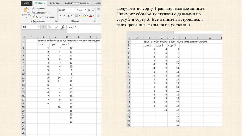 Получаем по сорту 1 ранжированные данные