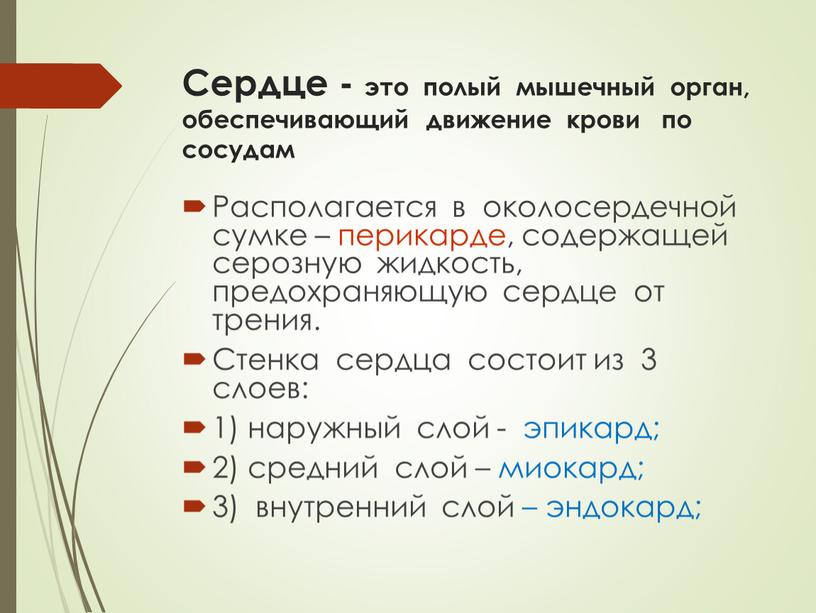 Сердце - это полый мышечный орган, обеспечивающий движение крови по сосудам