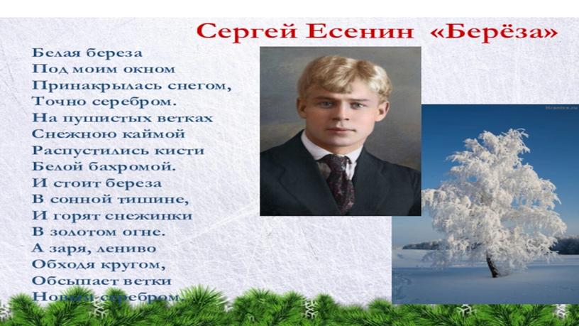 Урок литературного чтения. С.Есенин "Берёза"