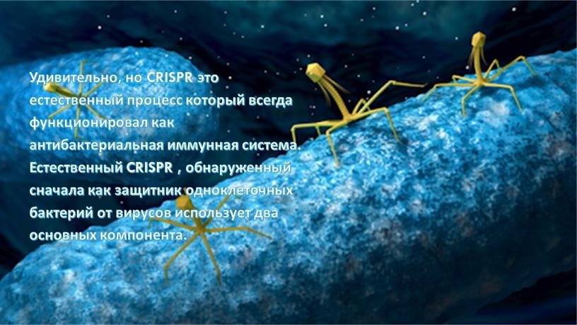 Удивительно, но CRISPR это естественный процесс который всегда функционировал как антибактериальная иммунная система