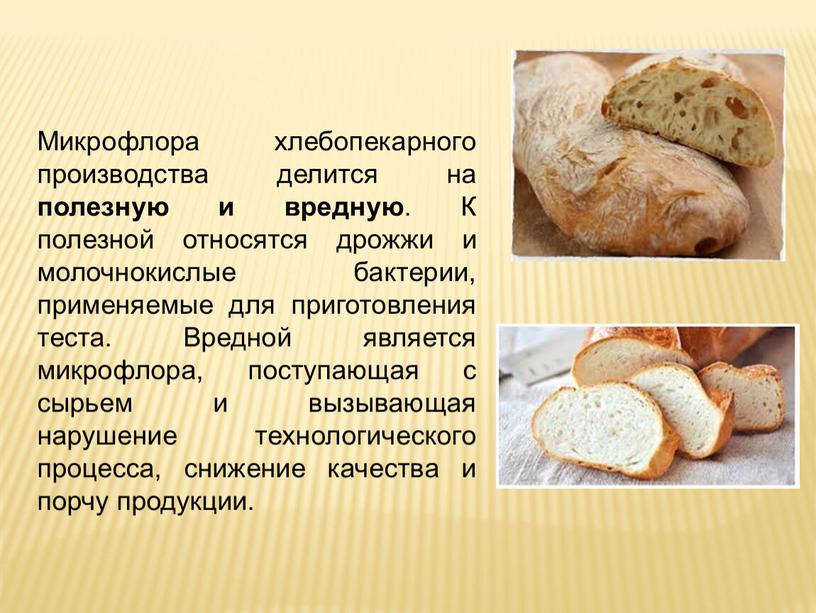 Микрофлора хлебопекарного производства делится на полезную и вредную