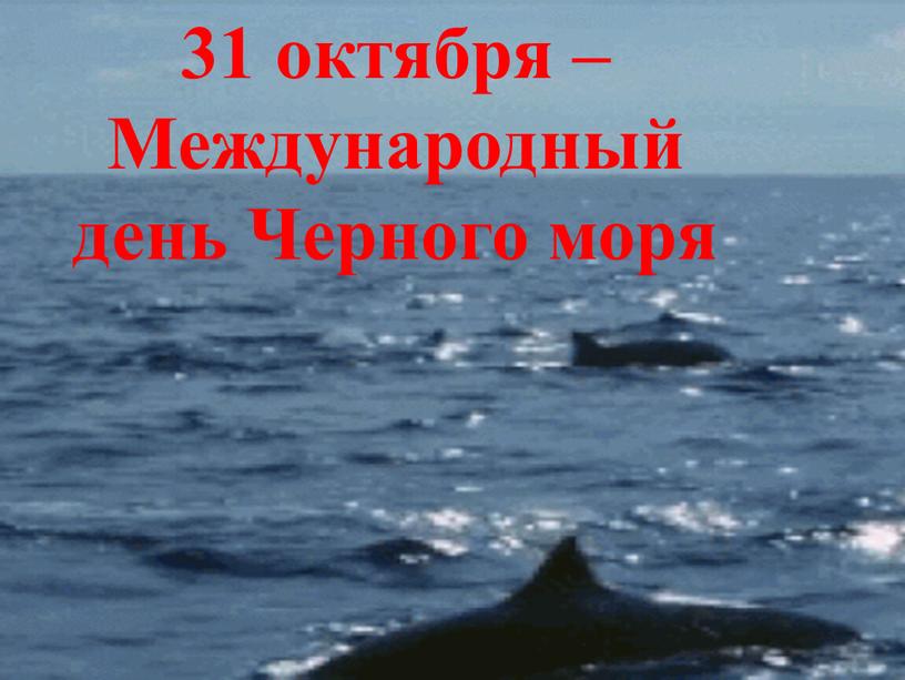 Международный день Черного моря