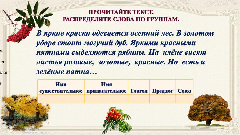 ПРОЧИТАЙТЕ ТЕКСТ. РАСПРЕДЕЛИТЕ