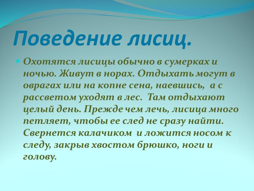 Поведение лисиц. Охотятся лисицы обычно в сумерках и ночью