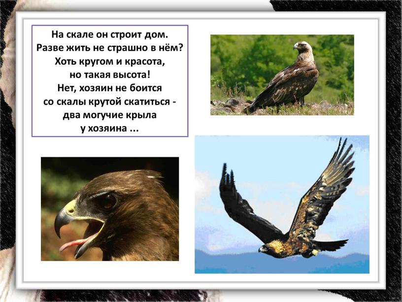 На скале он строит дом. Разве жить не страшно в нём?