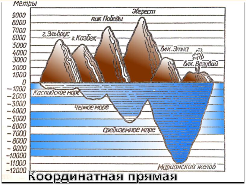 Координатная прямая